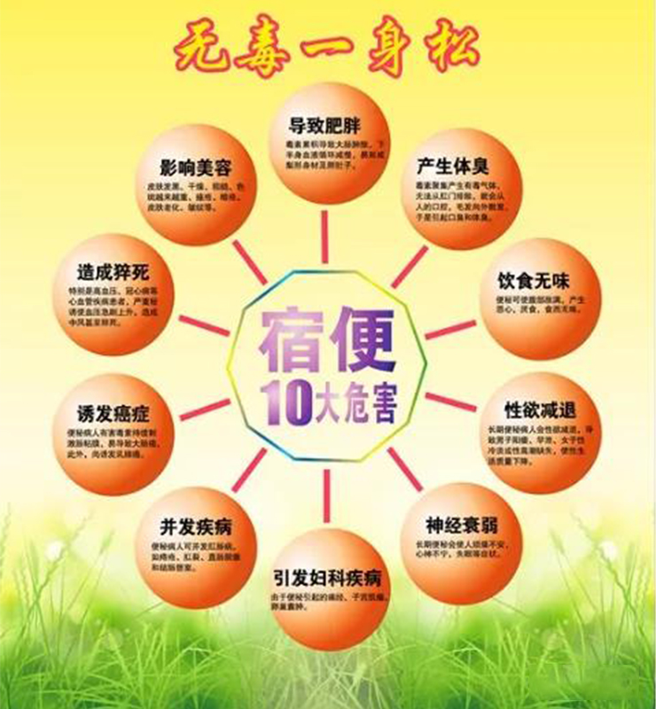 酵素帮你及时“疏导”肠道交通！排毒行动，刻不容缓！