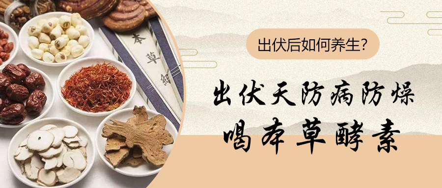 出伏天防病防燥，来点本草酵素润润肠