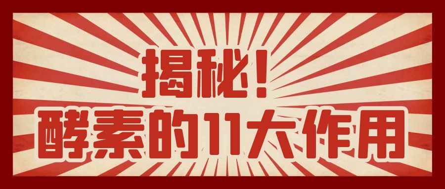 揭秘酵素的11大作用