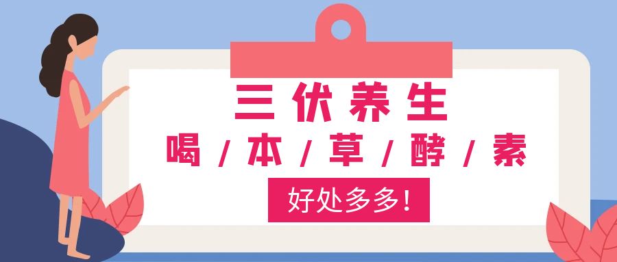 三伏养生喝本草酵素好处多多