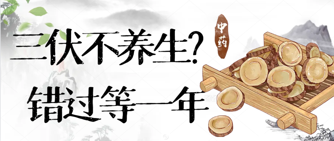 三伏不养生？错过等一年