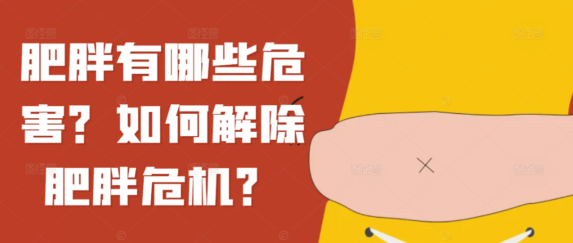 肥胖有哪些危害？如何解除肥胖危机？