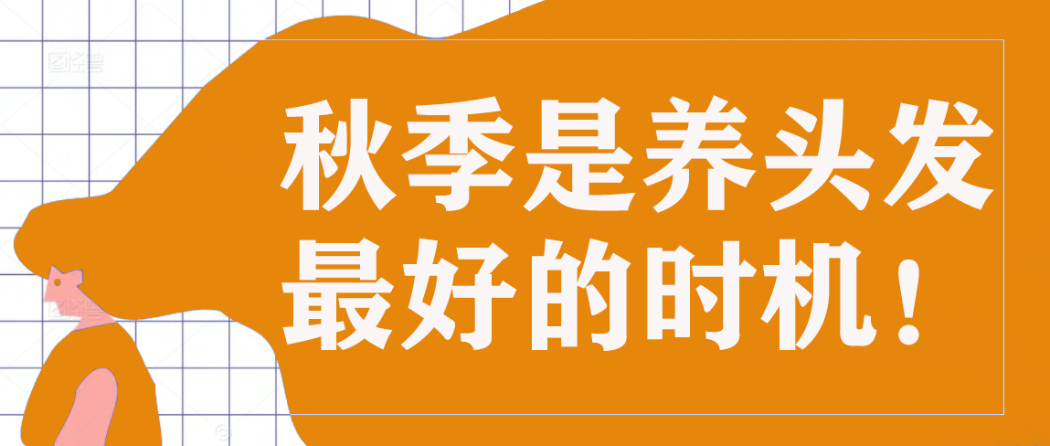 秋季是养头发最好的时机！