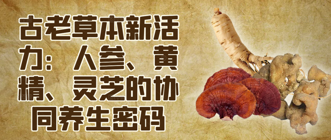 古老草本新活力：人参x黄精x灵芝的协同养生密码