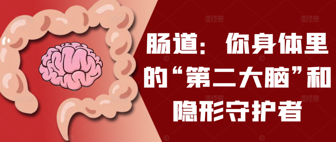肠道：你身体里的“第二大脑”和隐形守护者
