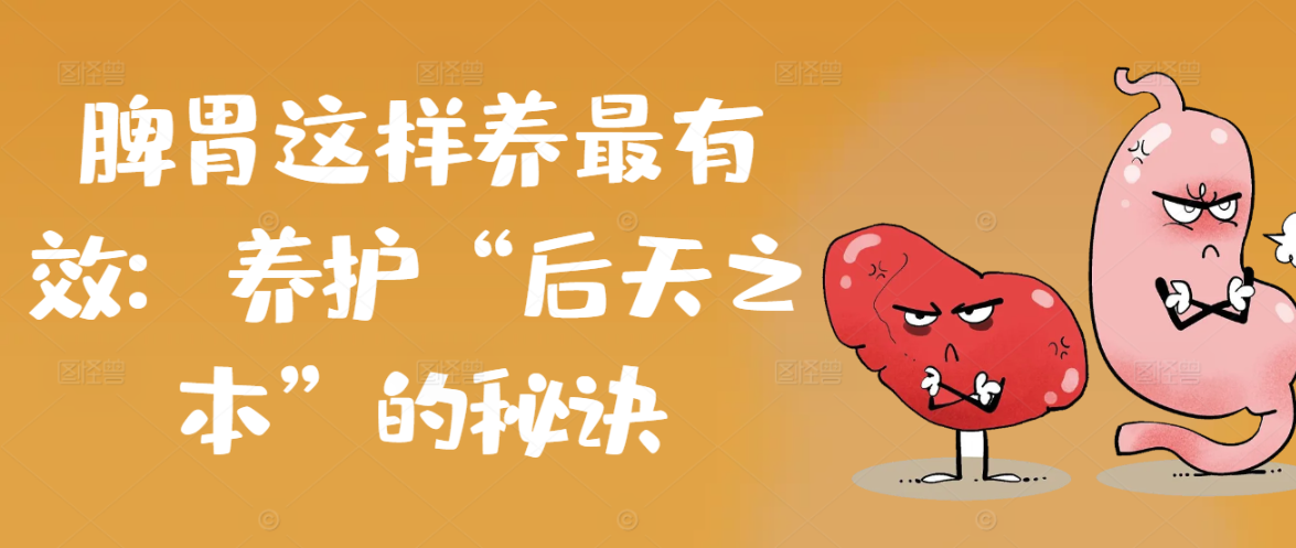 脾胃这样养最有效：养护“后天之本”的秘诀