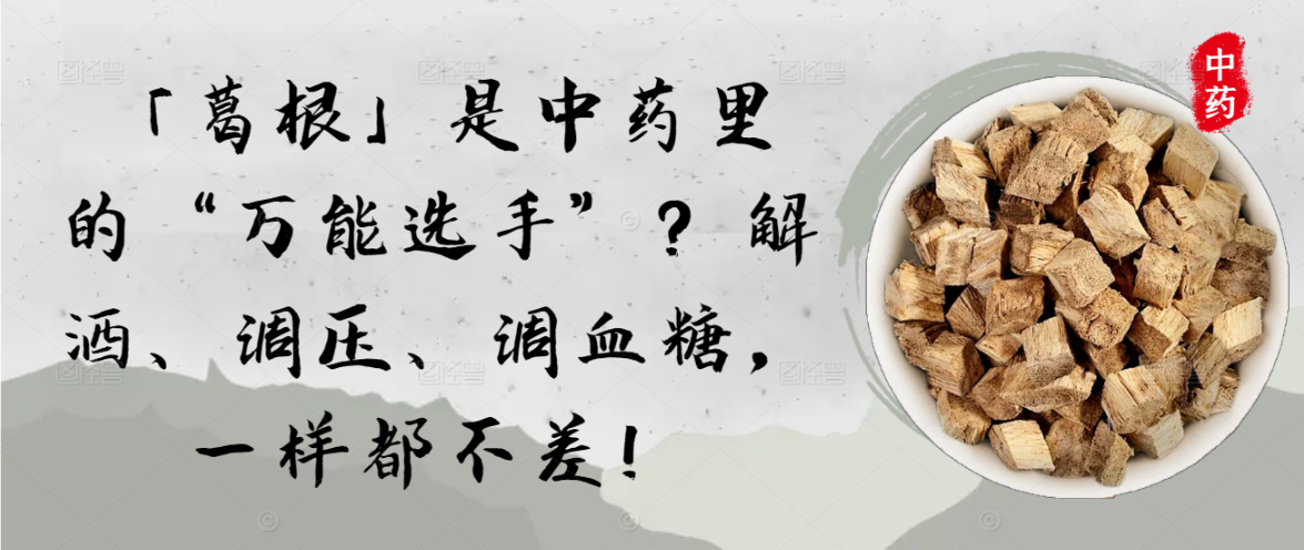 「葛根」是中药里的“万能选手”？解酒、调压、调血糖，一样都不差！