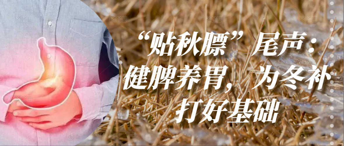 “贴秋膘”尾声：健脾养胃，为冬补打好基础