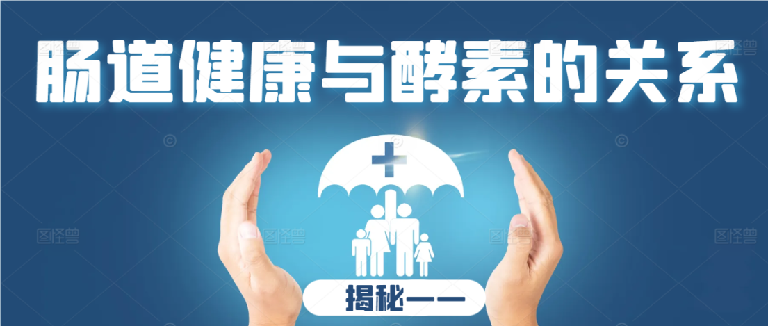 揭秘—肠道健康与酵素的关系