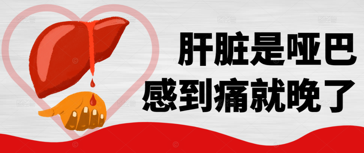 肝脏是哑巴，感到痛就晚了