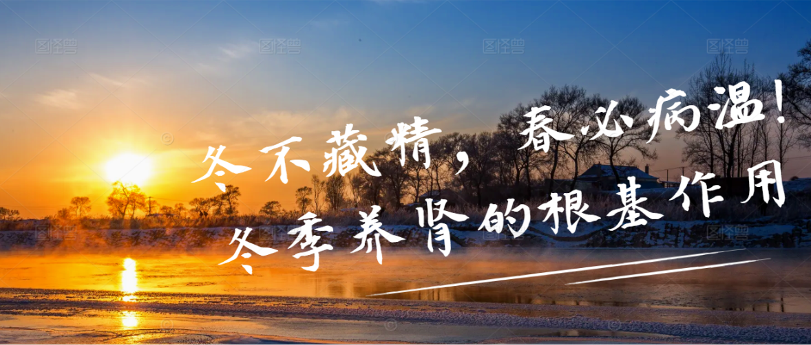 冬不藏精，春必病温!冬季养肾的根基作用