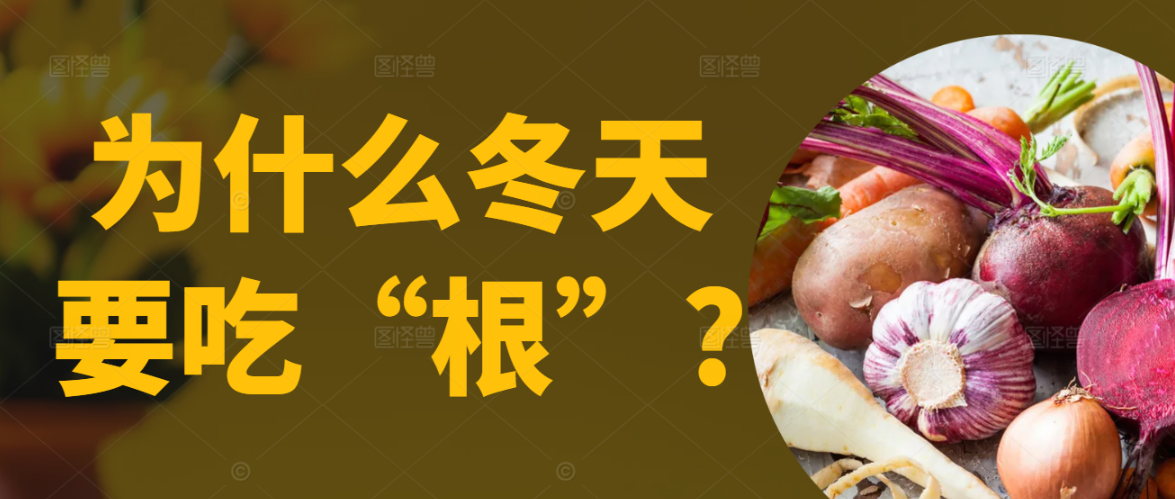 为什么冬天要吃“根”?