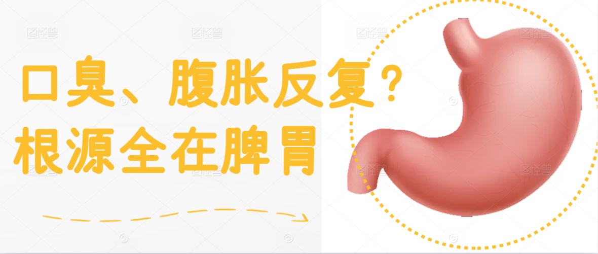 口臭、腹胀反复？根源全在脾胃